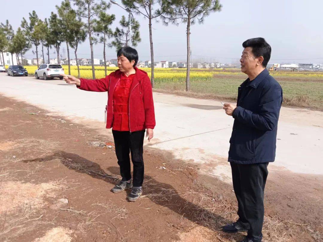 半岛体育-新人绽放：福建麻城大胜黑龙江种植园